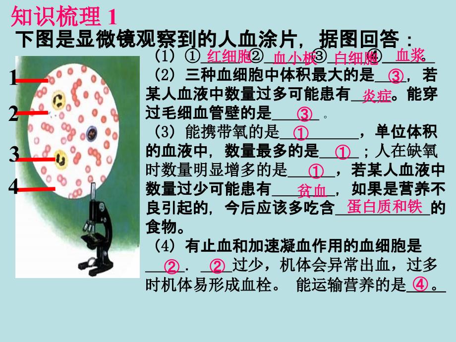 4.本章复习 课件 (6).ppt_第3页