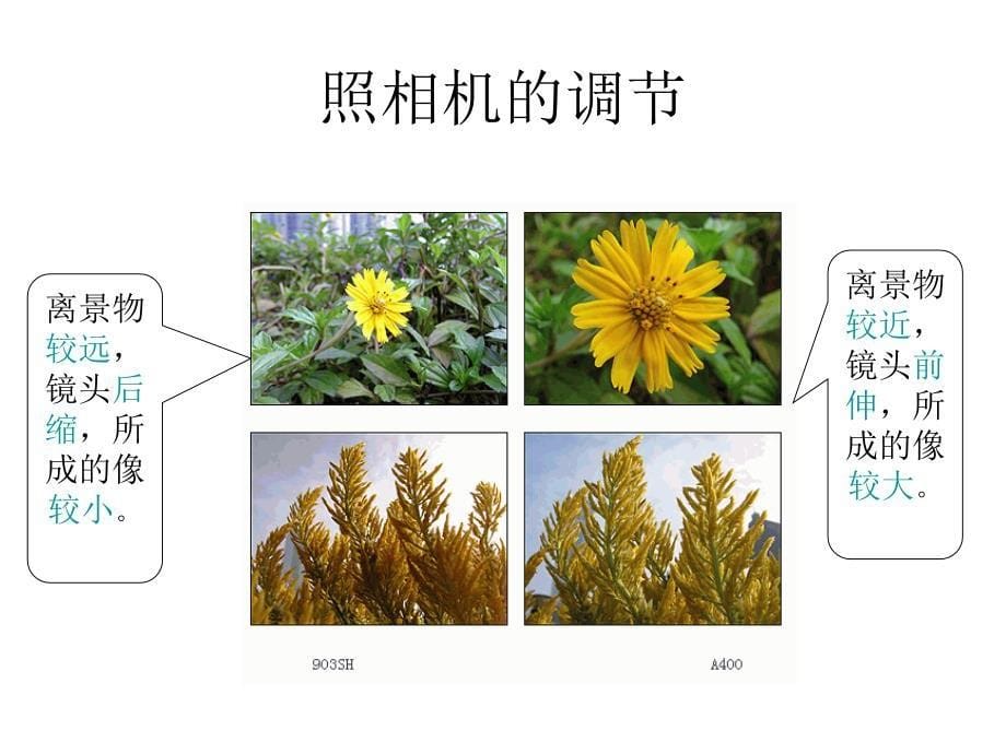 4.4 照相机与眼睛视力的矫正 课件3 (苏科版八年级上).ppt_第5页