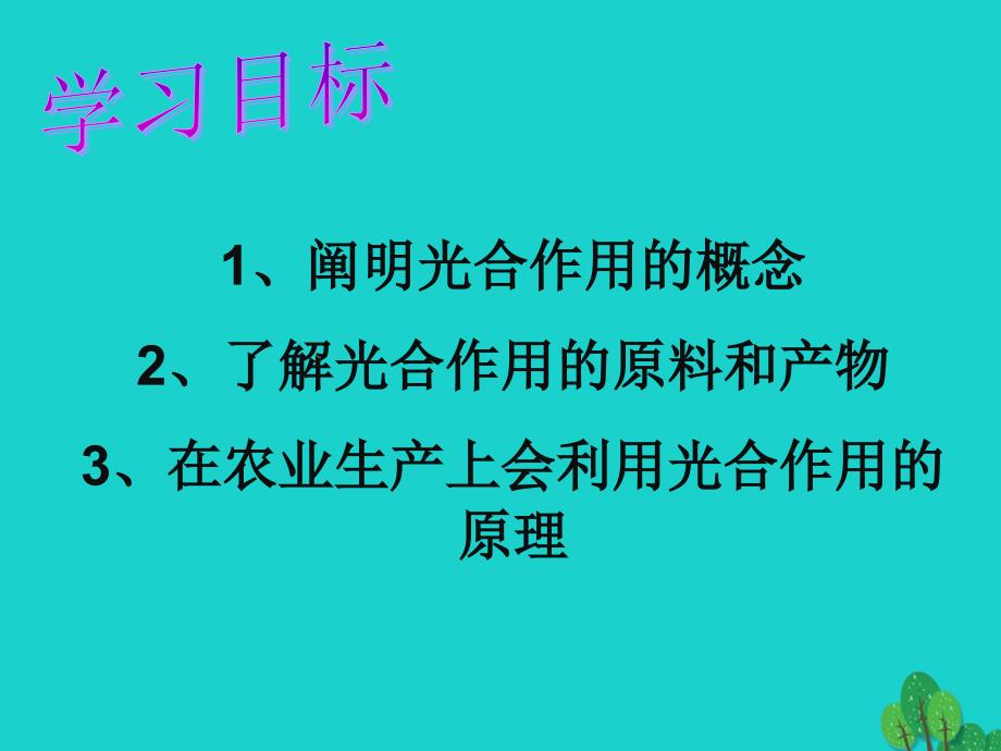 广东省佛山市顺德区江义初级中学七年级生物上册 3.5 绿色植物与生物圈的碳-氧平衡课件 （新版）新人教版_第2页