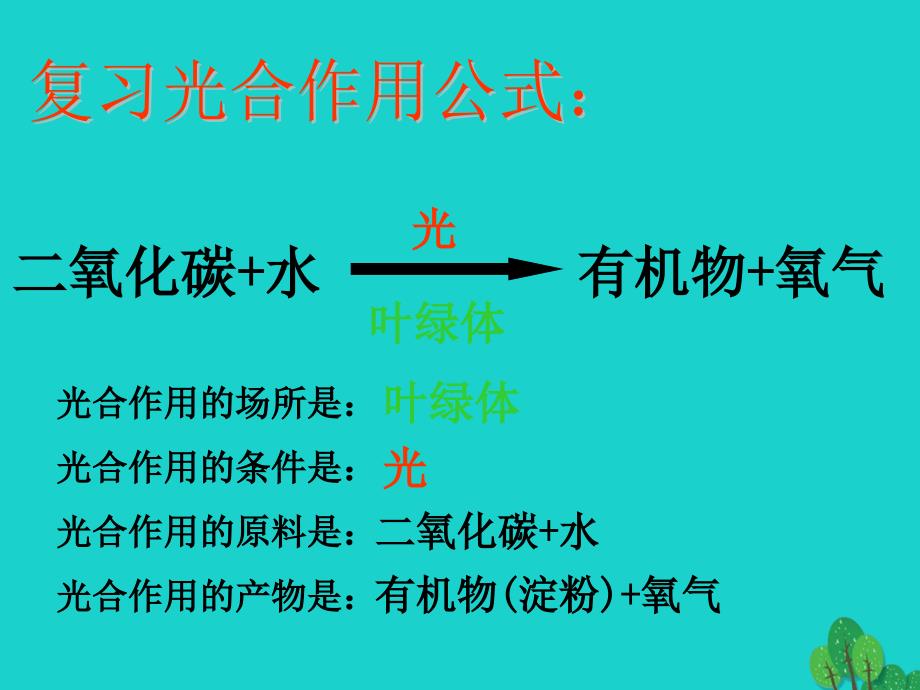 江苏省淮安市盱眙县第三中学七年级生物上册 3.4.1 植物的光合作用课件2 （新版）苏科版_第2页