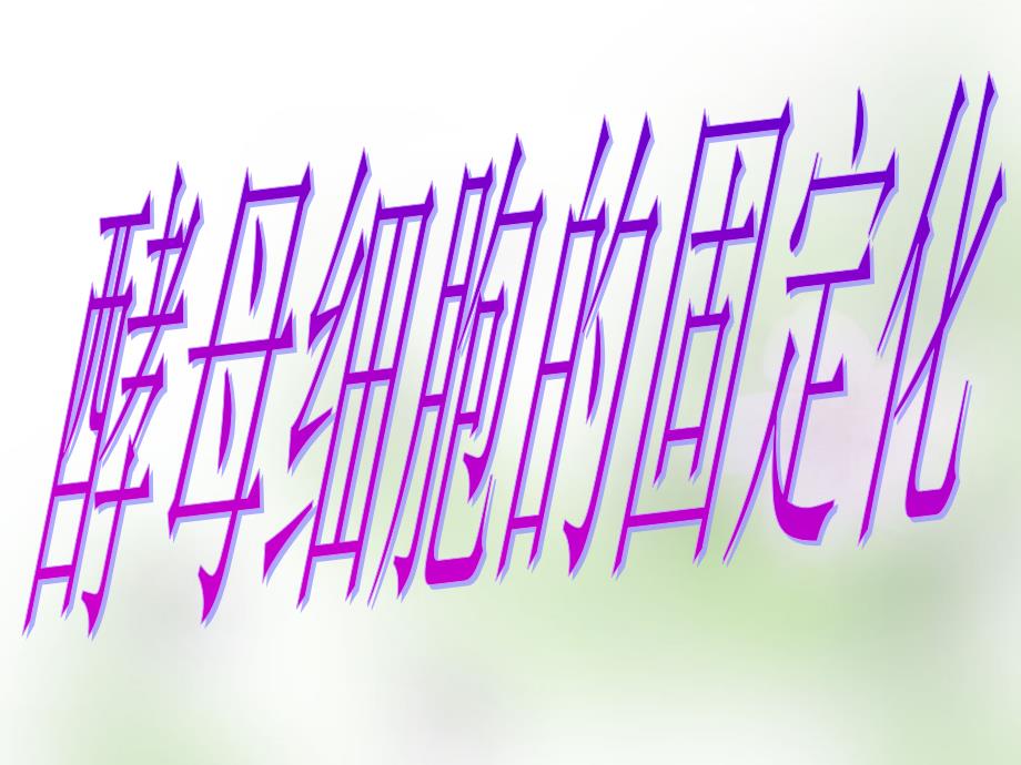 江苏省宿迁市马陵中学2018届高考生物专题复习 酵母细胞的固定化课件2_第1页