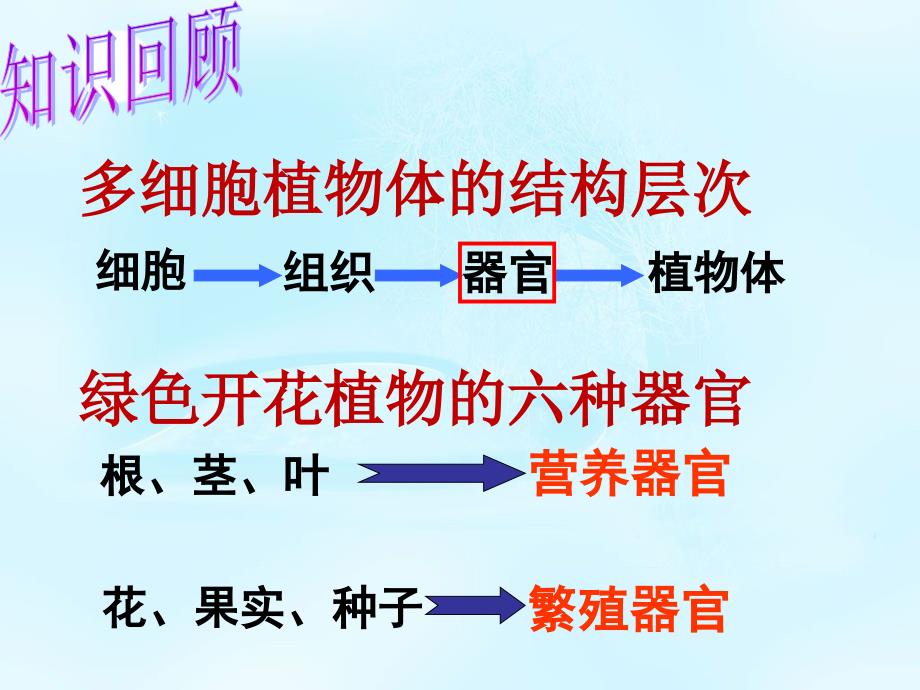 4.9.3 单细胞的生物体 课件 (7).ppt_第1页