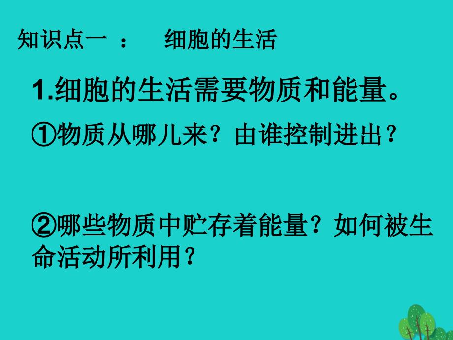 内蒙古鄂尔多斯康巴什新区第一中学七年级生物上册 第3课时 细胞怎样构成生物体复习课件 （新版）新人教版_第3页