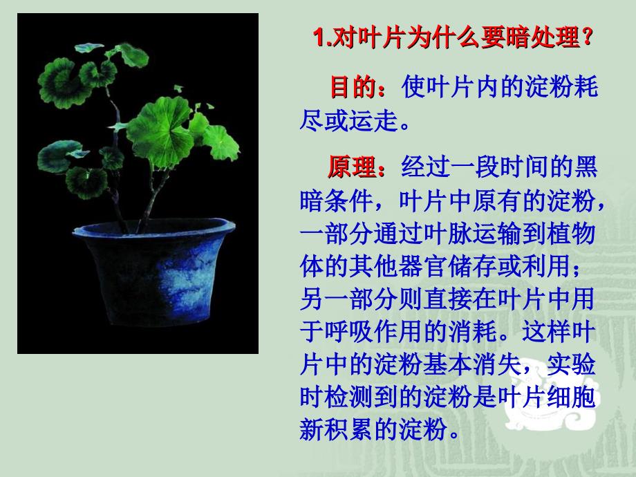 6.3 植物光合作用的实质 课件2.ppt_第4页