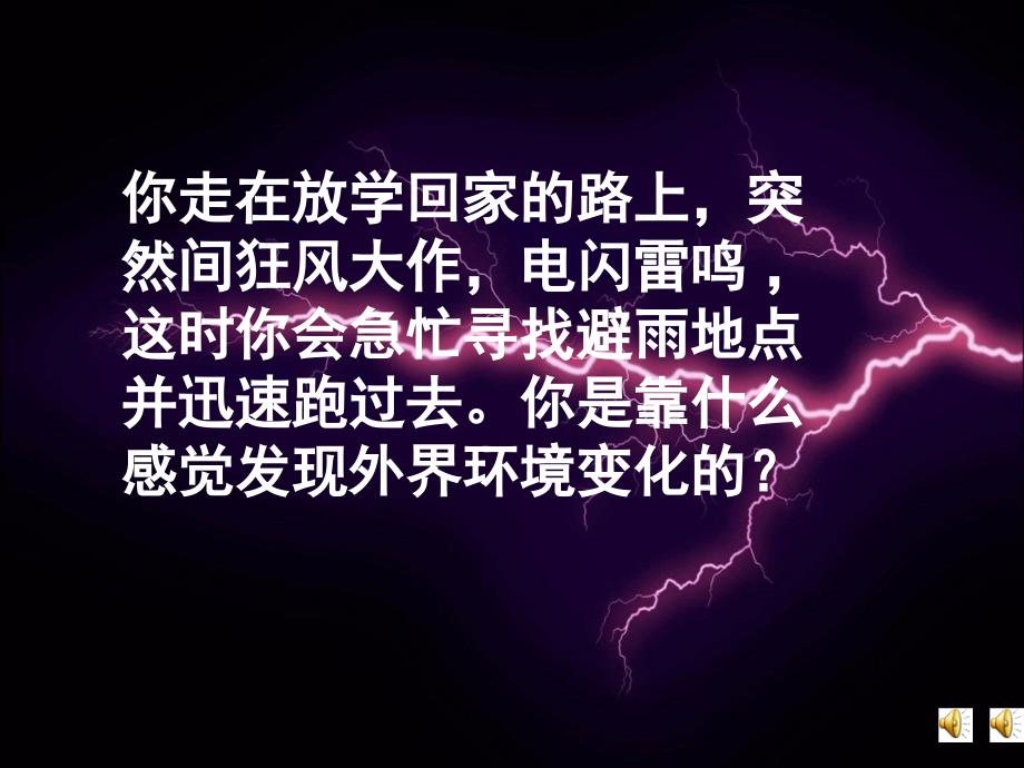 6.1人体对外界环境的感知 课件 (5).ppt_第1页