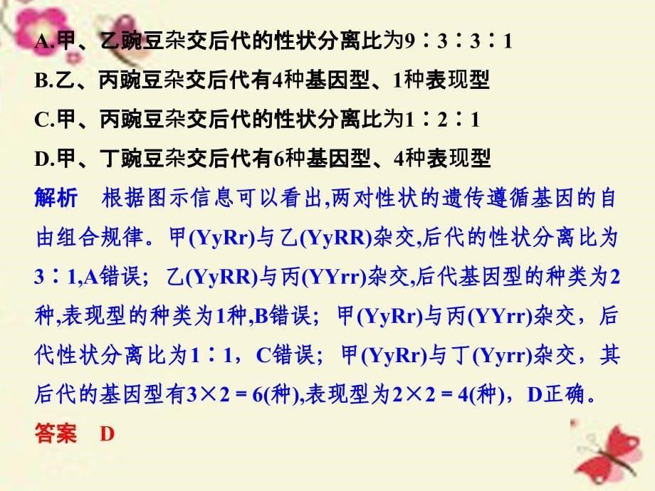 2018高考生物一轮复习 考点加强课3 孟德尔两大定律的比较、应用课件 新人教版_第5页