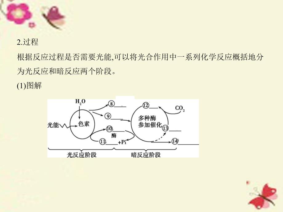 （江苏专版）2018版高考生物一轮复习 第三单元 光合作用和细胞呼吸（第13课时）光合作用（二）课件_第4页