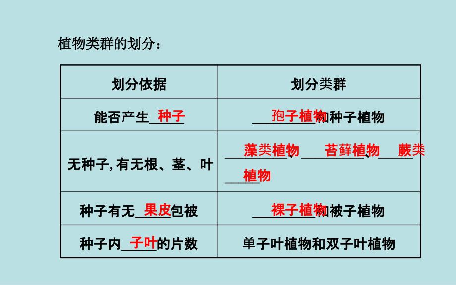 6.1 尝试对生物进行分类 课件2（人教版八年级上）.ppt_第3页