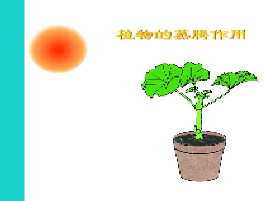 湖南省耒阳市冠湘中学七年级生物上册 第3单元 第3章 绿色植物参与生物圈的水循环课件 （新版）新人教版_第2页