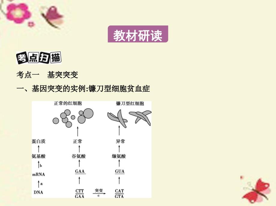 （江苏专版）2018版高考生物一轮复习 第七单元 遗传的分子基础（第26课时）基因突变和基因重组课件_第3页