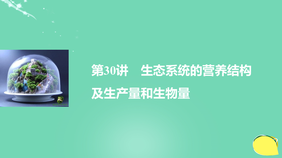 新2018版高考生物一轮复习 第八单元 生物与环境 第30讲 生态系统的营养结构及生产量和生物量课件 浙科版_第1页