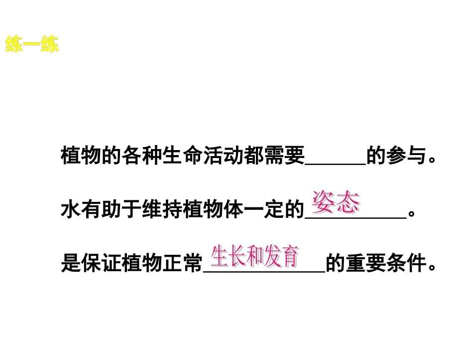 5.3 植物生长需要水和无机盐课件 （新版）（苏教版七年级上册）.ppt_第5页