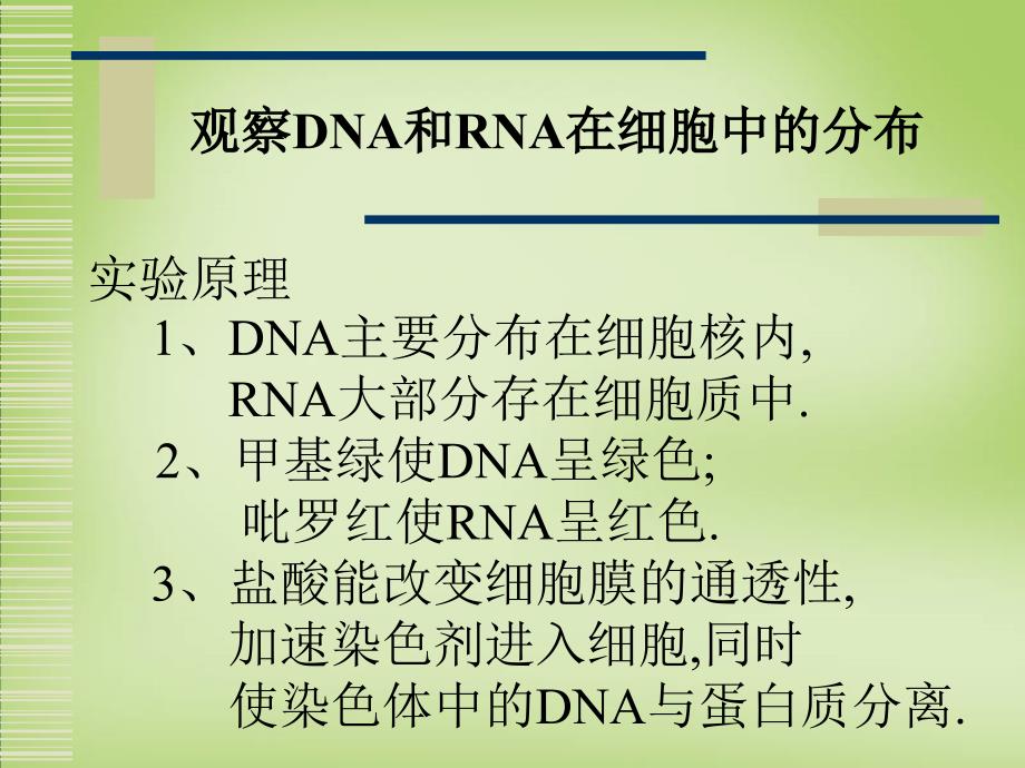 天津市梅江中学高考生物 遗传信息的携带者 核酸课件_第2页