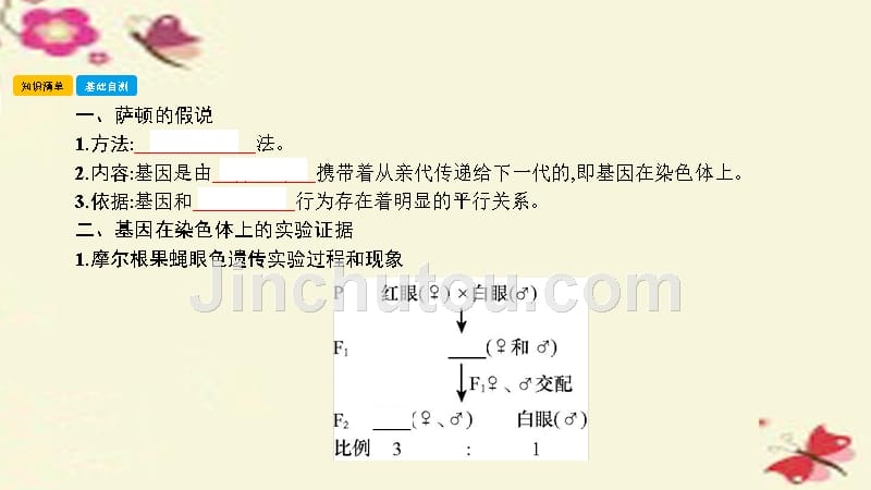 （全国通用）2018高考生物一轮复习 第七单元 基因和染色体的关系 第2讲 基因在染色体上和伴性遗传课件_第2页