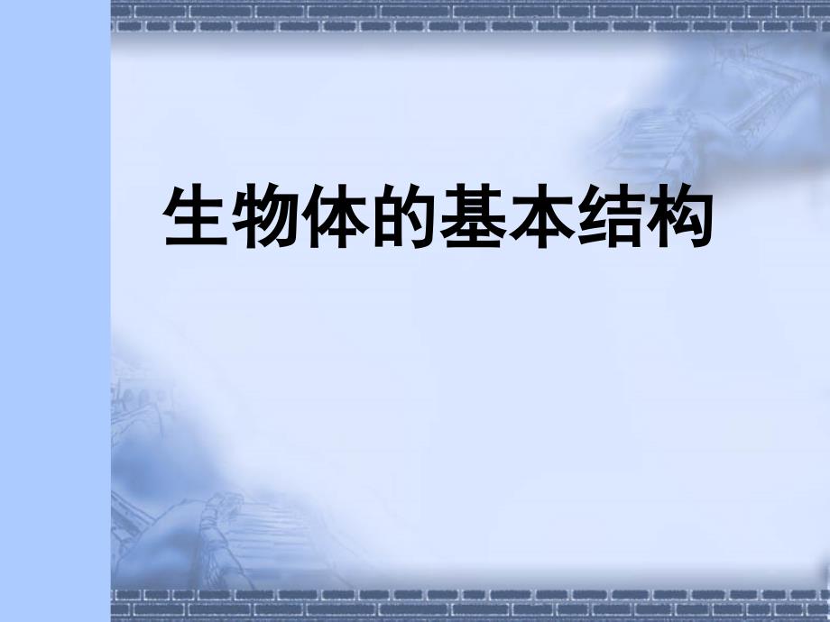 4.8.1 生物体的基本结构 课件 (6).ppt_第1页