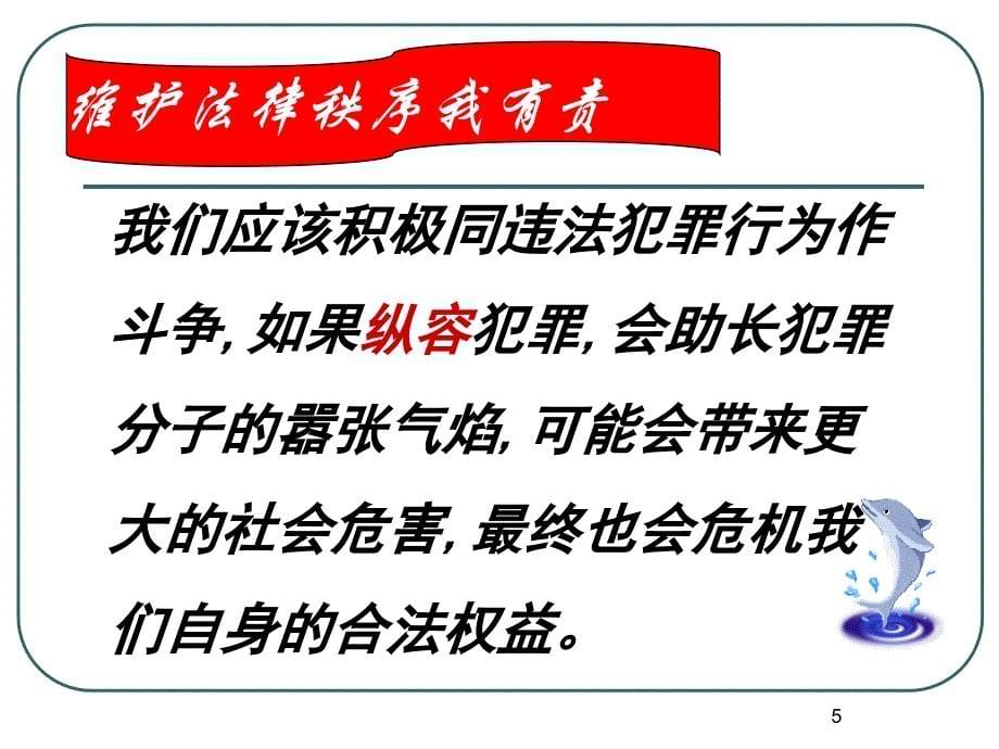 5.3做守法护法的好公民 课件6（政治湘教版七年级下册）.ppt_第5页