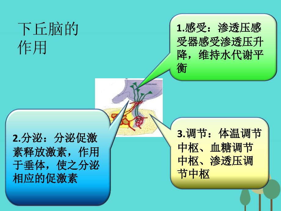 2018高考生物一轮复习 关键语句时时背14课件 新人教版_第2页