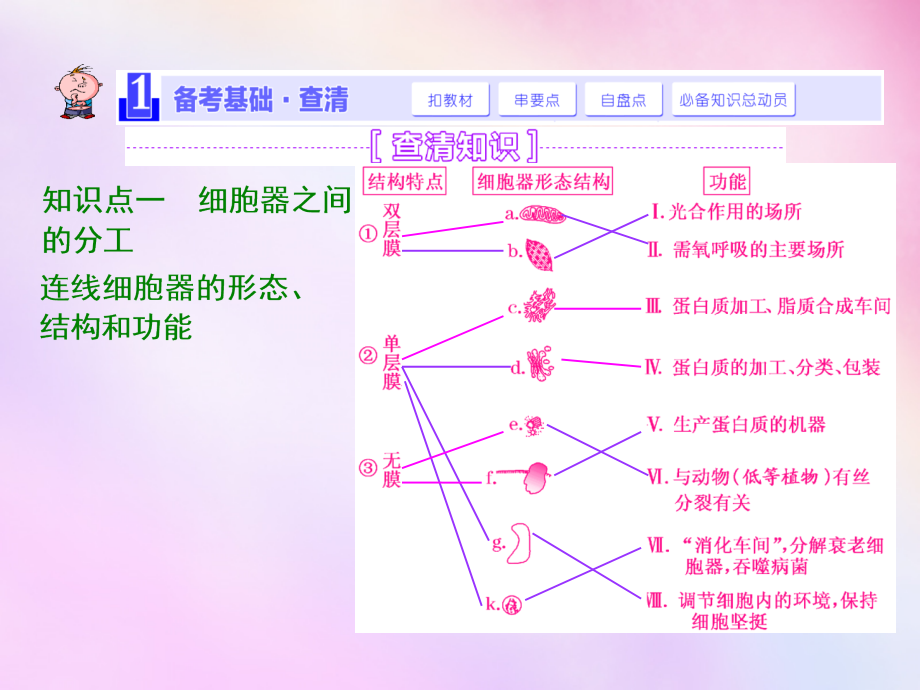 2018高考生物一轮复习 第二单元 第二讲 细胞器-系统内的分工合作课件 浙教版必修1_第2页