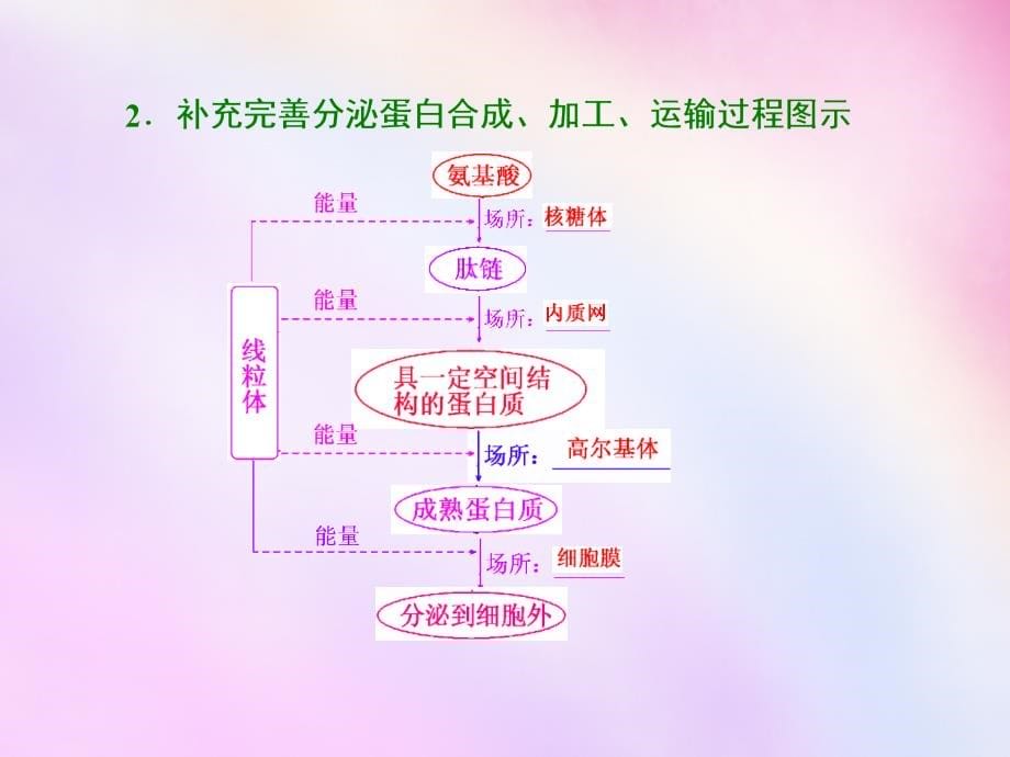 2018高考生物一轮复习 第二单元 第二讲 细胞器-系统内的分工合作课件 浙教版必修1_第5页