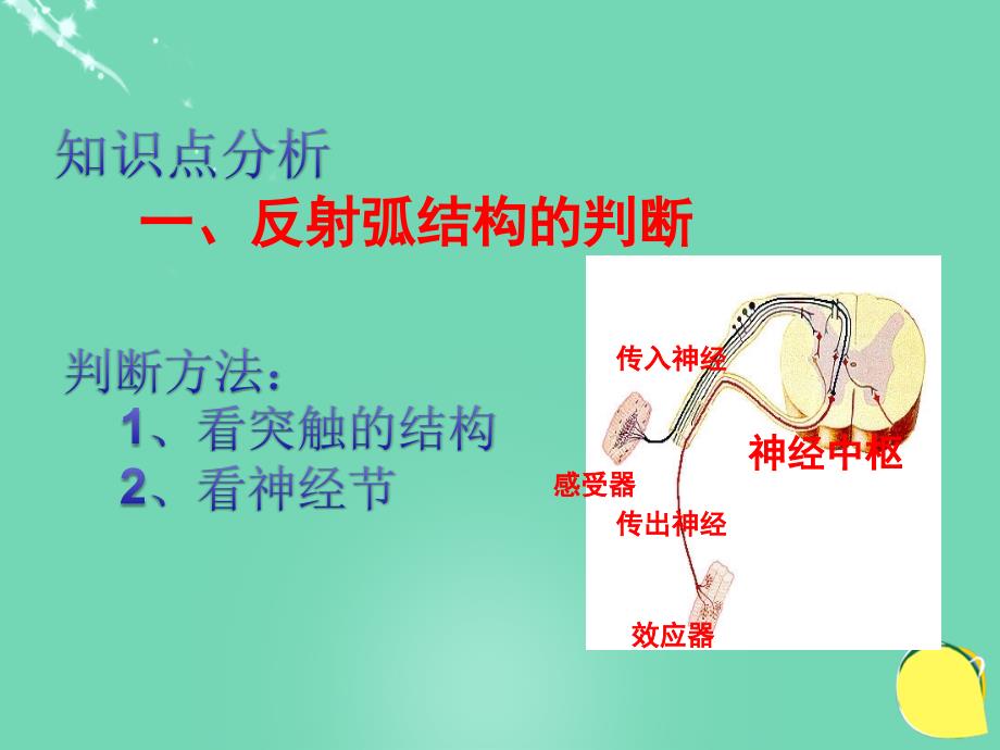 （同步精品课堂）2018.2018学年高中生物 专题2.1 通过神经系统的调节课件（提升版）新人教版必修3_第2页