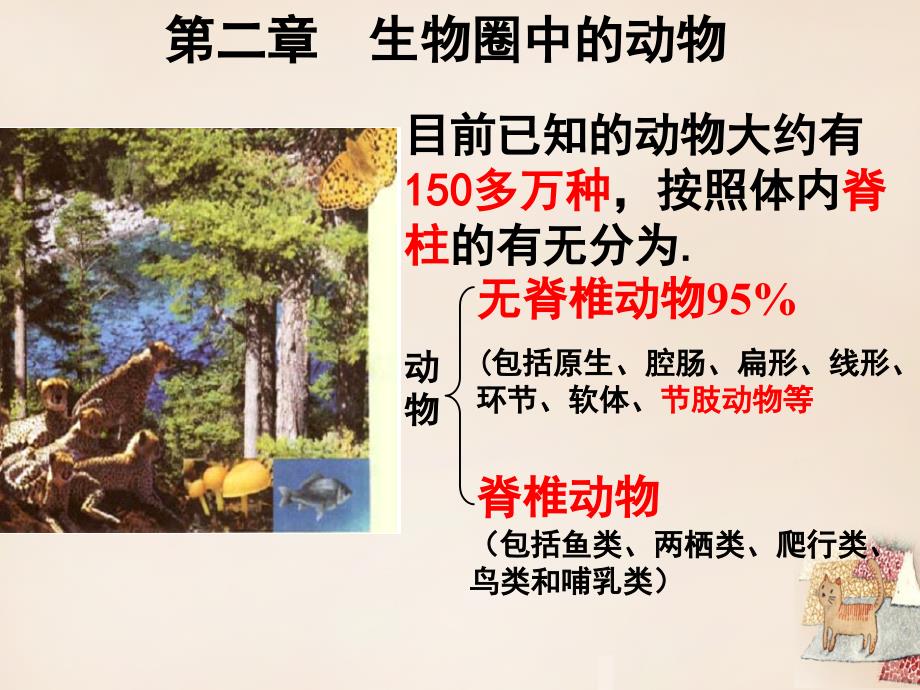 山东省高密市银鹰七年级生物上册 2.2.1 无脊椎动物的主要类群课件 （新版）济南版_第2页