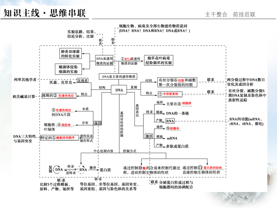 （全国通用）2018高考生物二轮复习 第三单元 专题一 遗传的分子基础课件_第2页