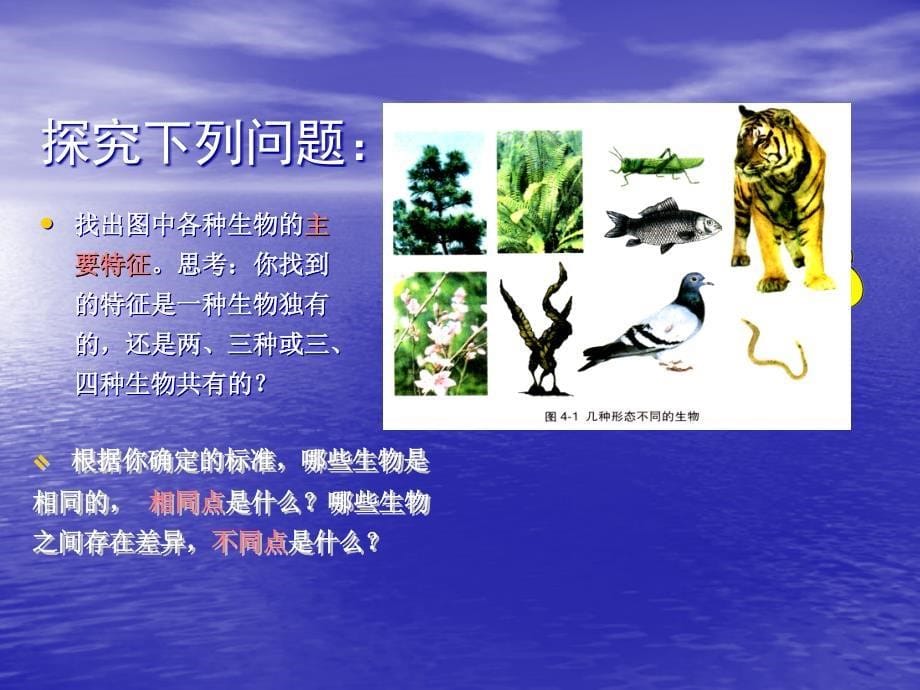 5.1 尝试对生物进行分类 课件 (1).ppt_第5页