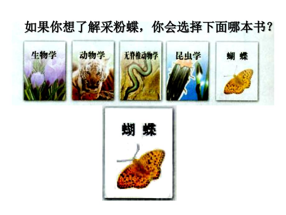 6.1.1 尝试对生物进行分类 课件 （新人教版八年级上）.ppt_第3页