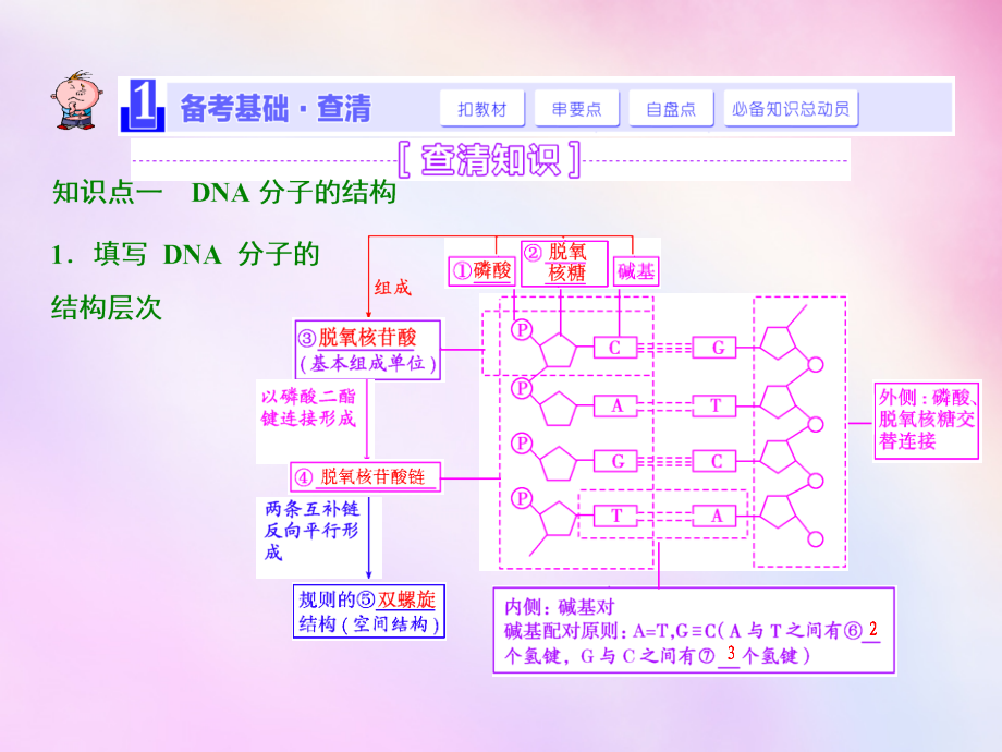 2018高考生物一轮复习 第二单元 第二讲 dna分子的结构与遗传信息的传递课件 浙教版必修2_第2页