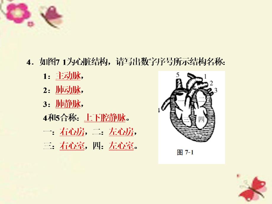 浙江省2018中考科学基础复习 第7课 人体和其他生物的新陈代谢课件2_第3页