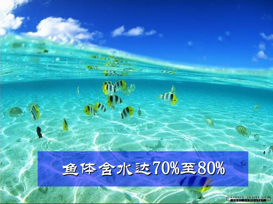 4.3水的组成 课件7（人教版九年级上册）.ppt_第4页