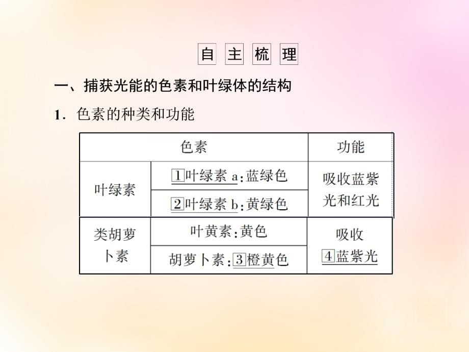 模块2018届高考生物总复习 3.11能量之源-光与光合作用课件 新人教版必修1_第5页