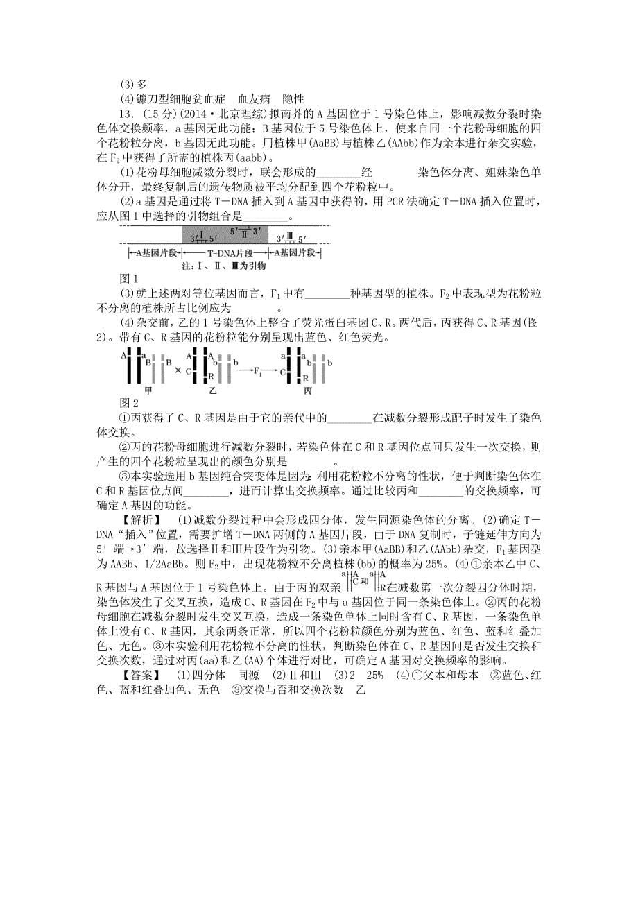 2015届高考生物二轮复习 专题训练 变异、育种与进化_第5页