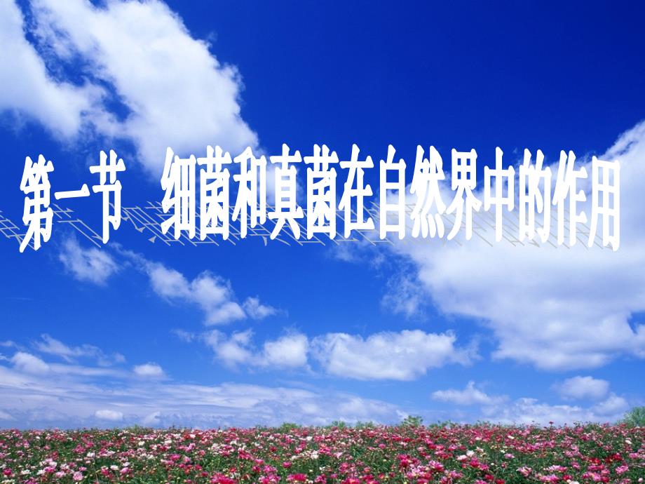 4.4 细菌和真菌在自然界中的作用 课件2（人教版八年级上）.ppt_第1页