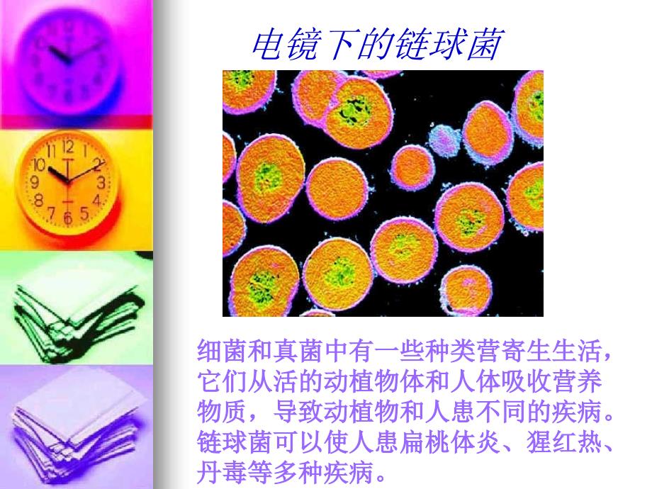 4.4 细菌和真菌在自然界中的作用 课件2（人教版八年级上）.ppt_第4页