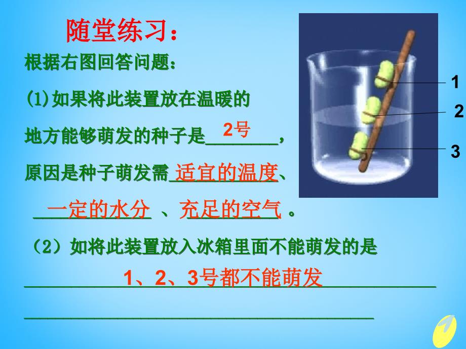 甘肃省瓜州县第二中学七年级生物上册 第5章 第1节 植物种子的萌发课件1 苏教版_第2页