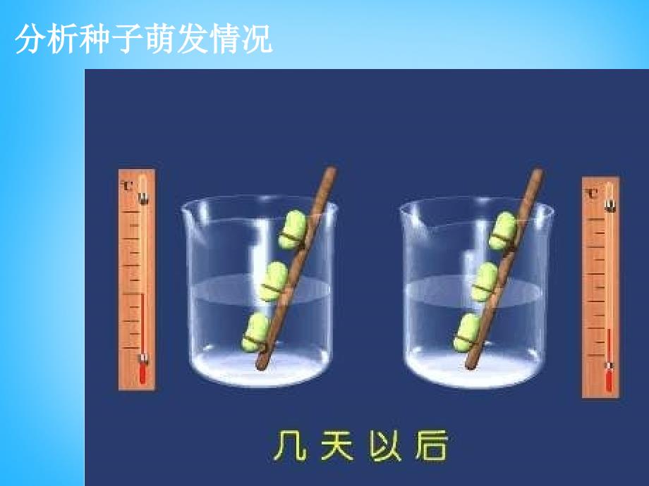 甘肃省瓜州县第二中学七年级生物上册 第5章 第1节 植物种子的萌发课件1 苏教版_第3页