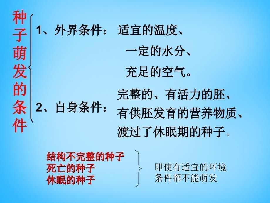 甘肃省瓜州县第二中学七年级生物上册 第5章 第1节 植物种子的萌发课件1 苏教版_第5页