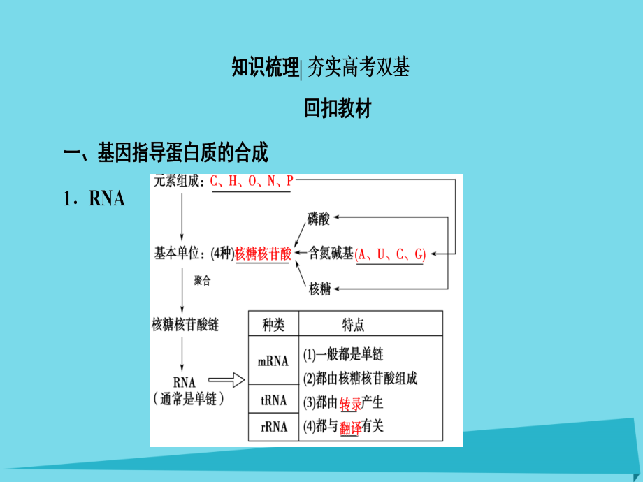 （通用版）2018版高考生物一轮复习 第6单元 遗传的分子基础 第3讲 基因的表达课件_第2页