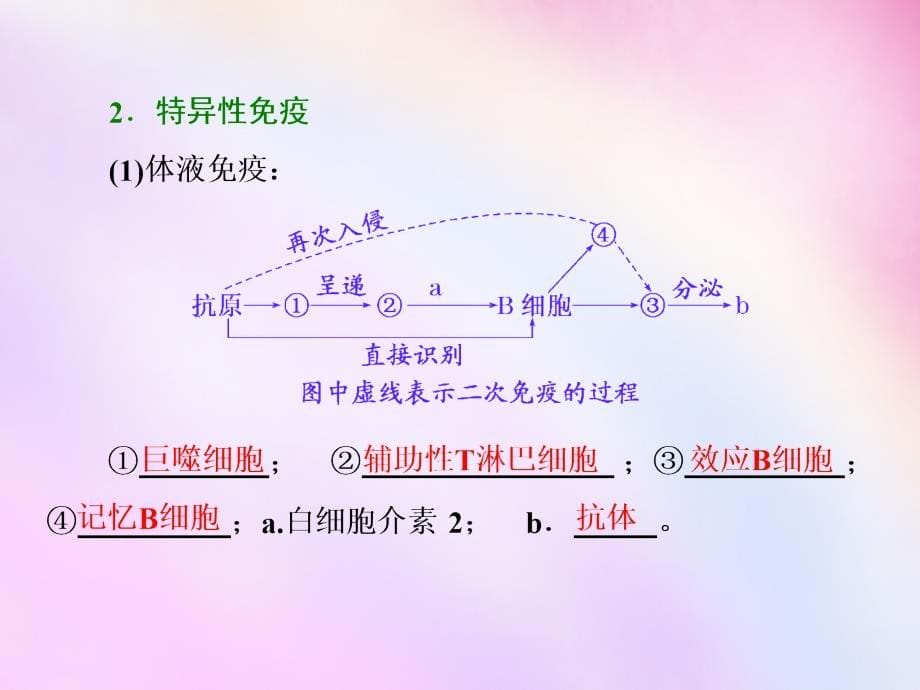 2018高考生物一轮复习 第二单元 第四讲 免疫系统与免疫功能课件 浙教版必修3_第5页