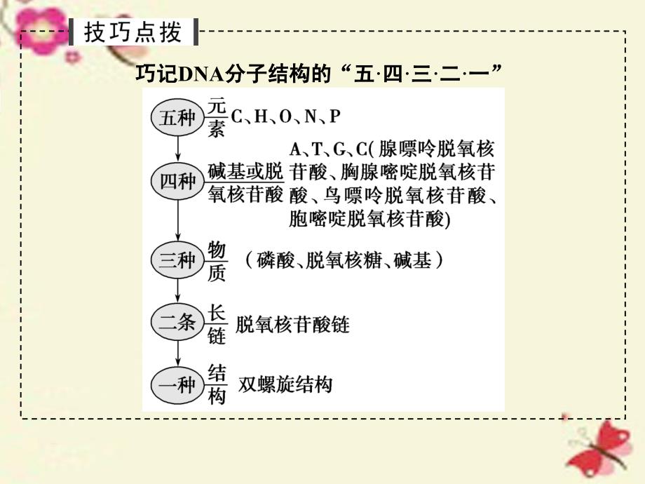 2018高考生物一轮复习 第6单元 遗传的分子基础 第18讲 dna的结构、复制及基因的本质课件 新人教版_第4页