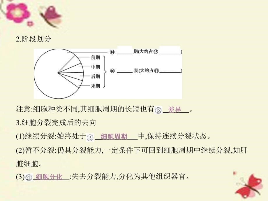 （江苏专版）2018版高考生物一轮复习 第四单元 细胞的生命历程（第15课时）细胞增殖课件_第5页