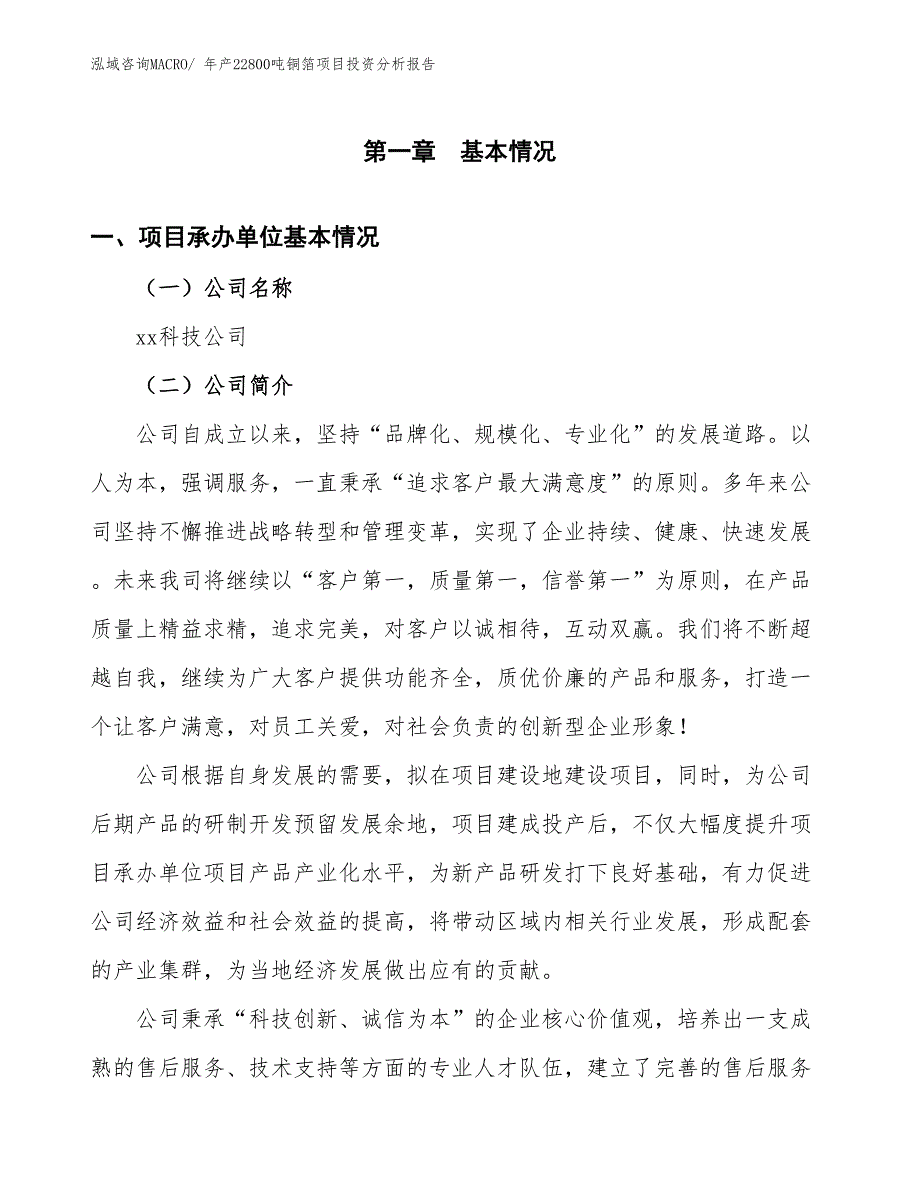 xx科技公司年产22800吨铜箔项目投资分析报告_第3页