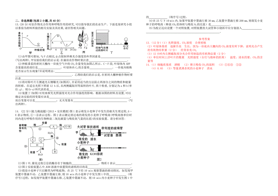 河南省郑州市第五中学高考生物复习 第5章 光合作用与细胞呼吸单元测试题1 新人教版必修1_第2页