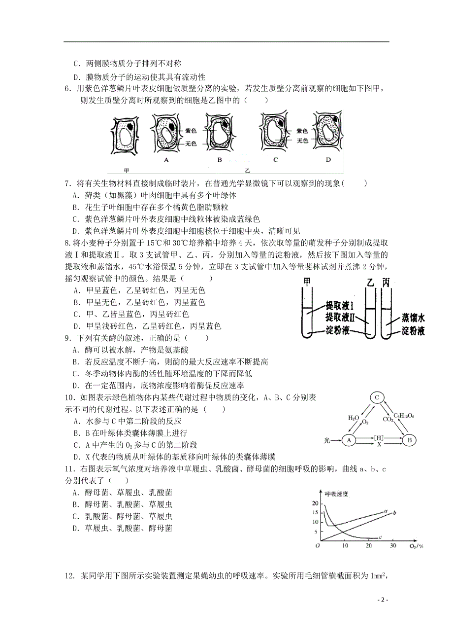 山东省邹城市第一中学2016届高三生物10月月考试题_第2页