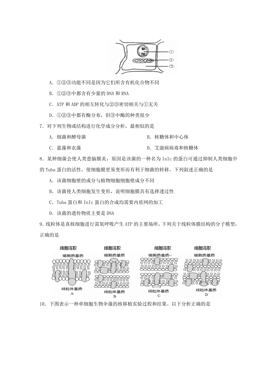 山东省滕州市第二中学2014-2015学年高二生物上学期期末考试试题新人教版_第2页