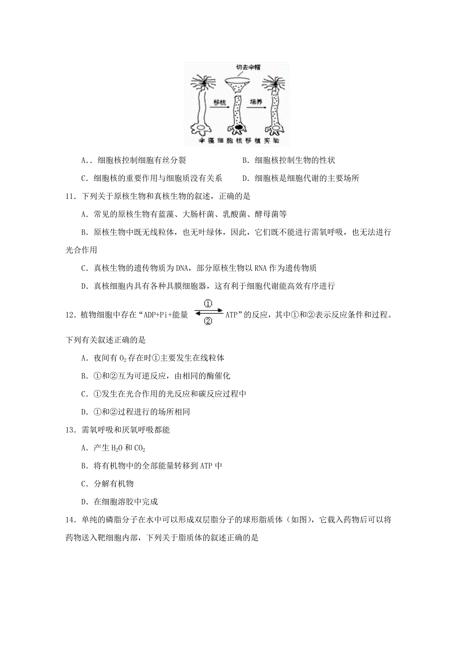 山东省滕州市第二中学2014-2015学年高二生物上学期期末考试试题新人教版_第3页