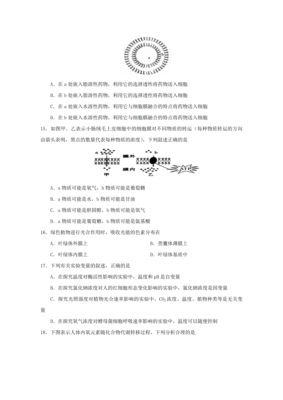 山东省滕州市第二中学2014-2015学年高二生物上学期期末考试试题新人教版_第4页