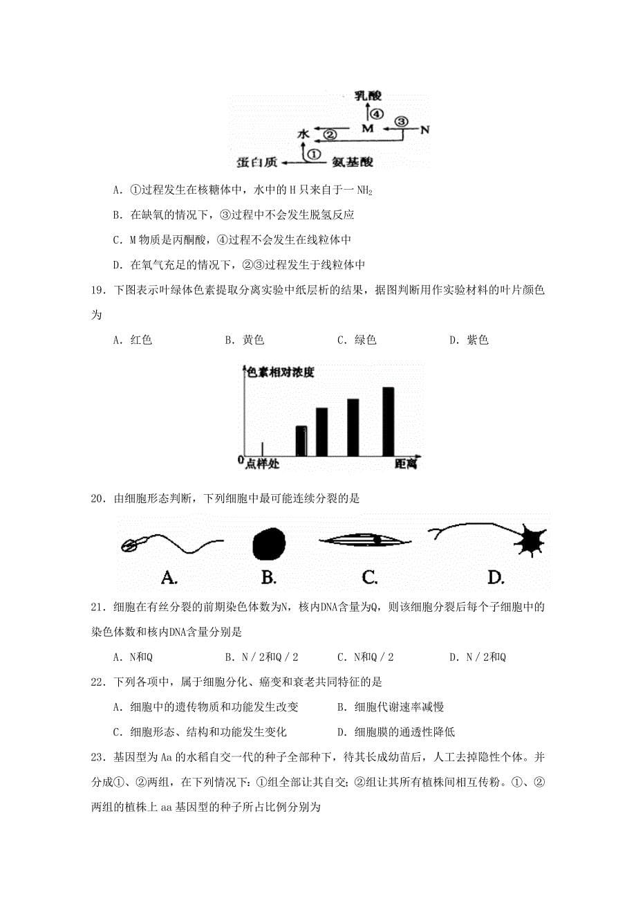 山东省滕州市第二中学2014-2015学年高二生物上学期期末考试试题新人教版_第5页