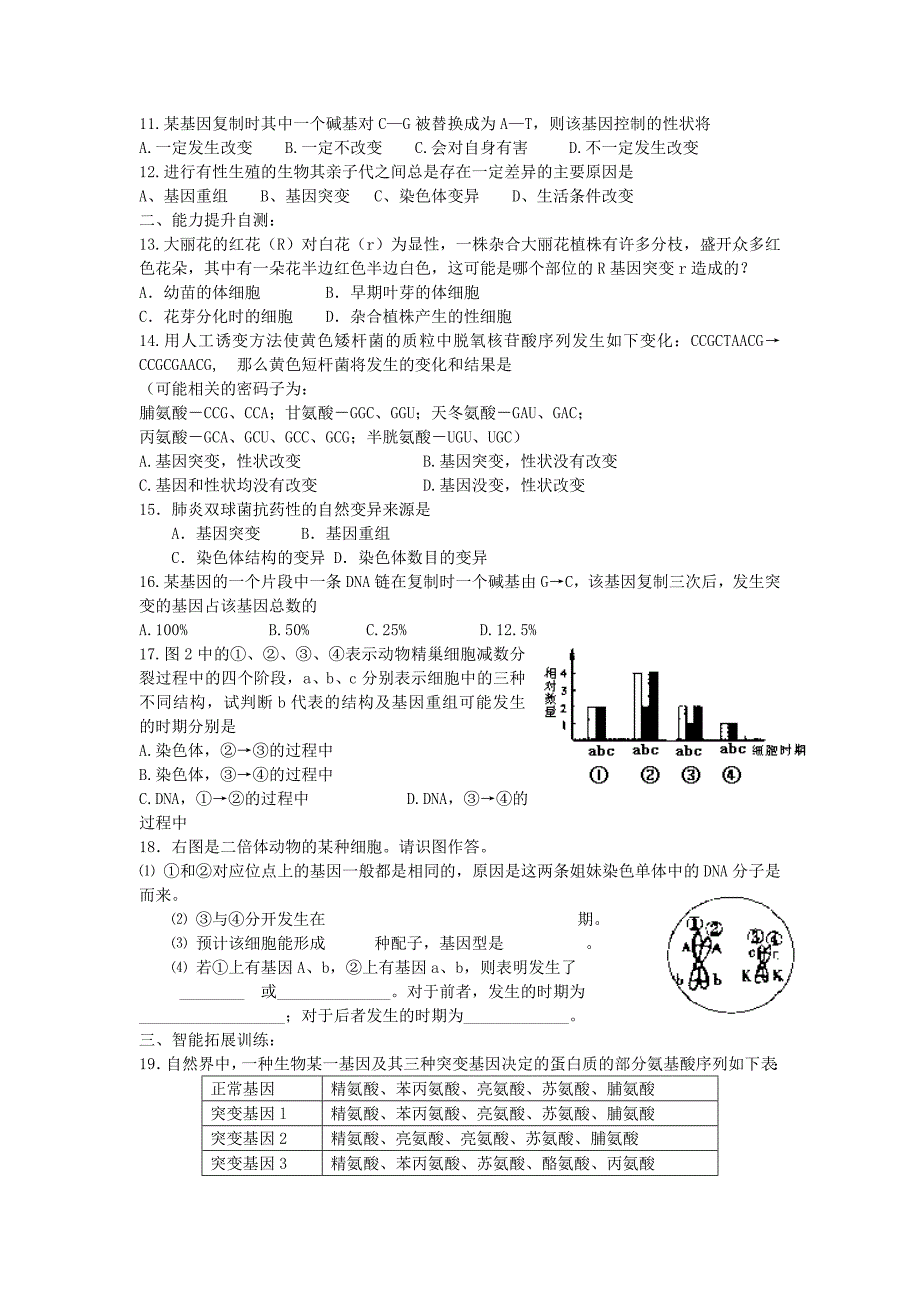 吉林省高中生物 第五章 基因突变及其他变异 第1节 基因突变和基因重组练习 新人教版必修2_第2页